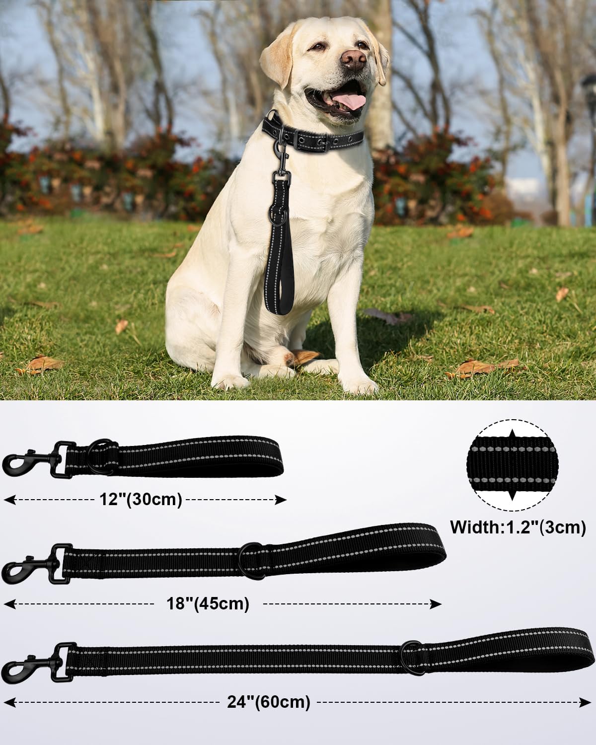 Joytale Short Dog Leash for Close Control & Training, 18", Black