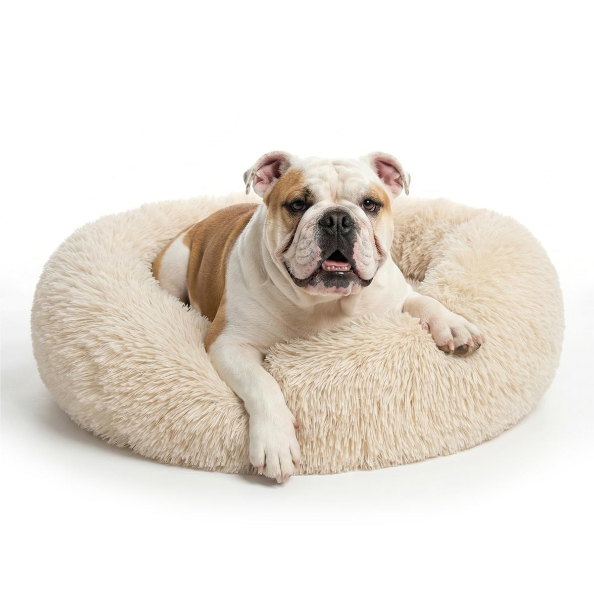 Small Calming Dogs Bed for Small Dogs Anti-Anxiety Machine Washable Fluffy Luxury Anti-Slip Waterproof Mute Base Warming Cozy Soft Pet Puppy Round Bed