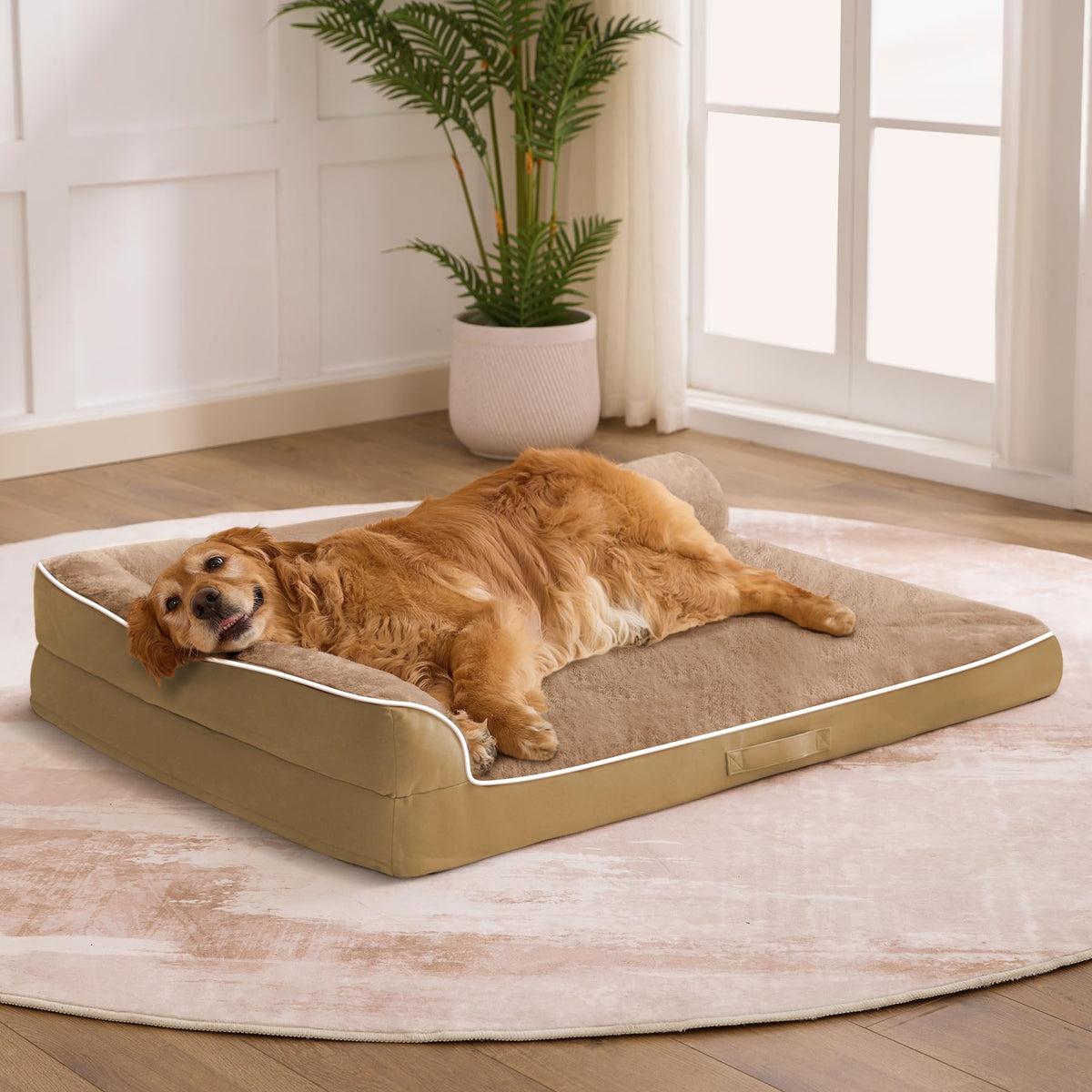 XL Orthopedic Dog Bed for Large Sized Dogs, 42"x30"x7.5", Grey