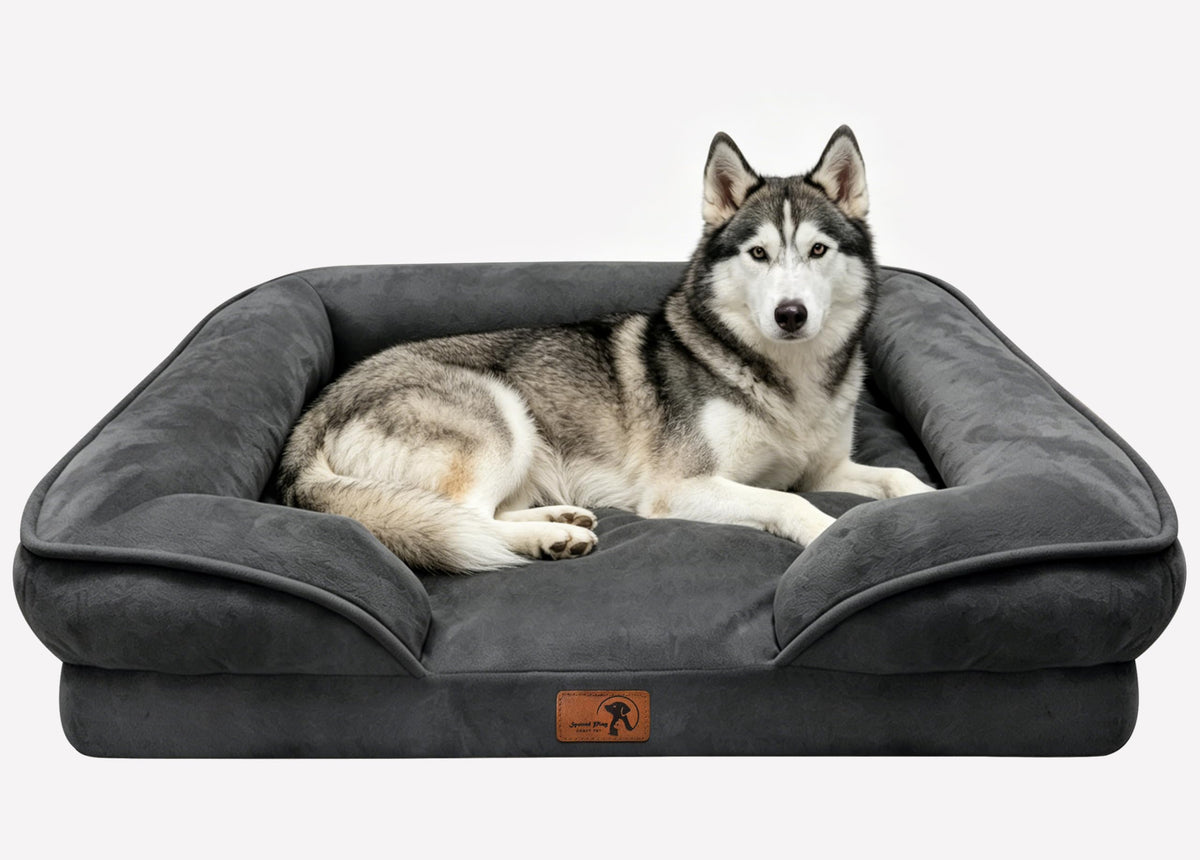 Spotted Play Orthopedic Dog Bed with Sides - Dog Sofa Beds for Medium Dogs, Supportive Foam Pet Couch Bed with Washable Removable Cover, Waterproof Lining and Non-Slip Bottom, Grey - M