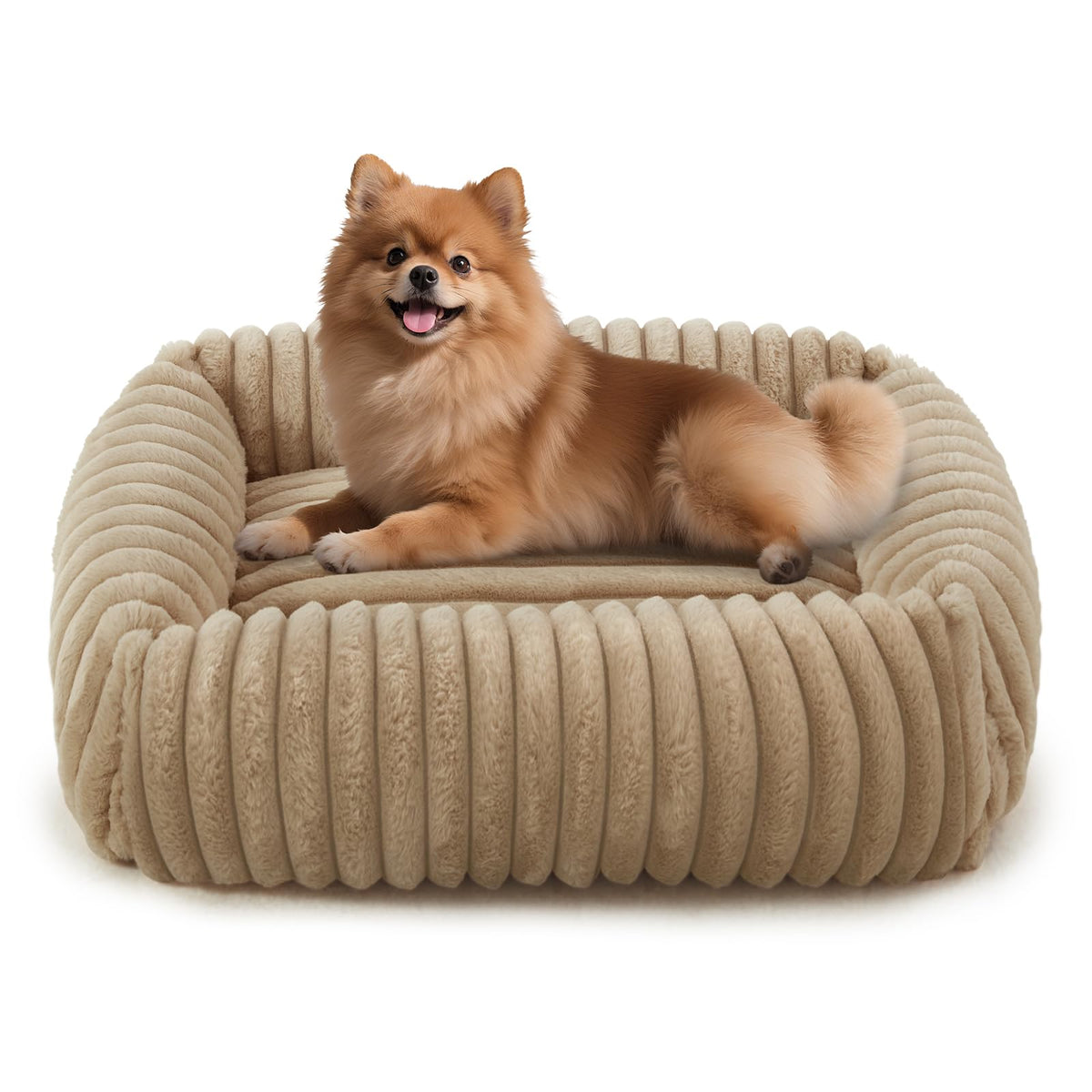 FURTIME Washable Dog Bed for Small Dogs, Cat Beds for Indoor Cats, 20"