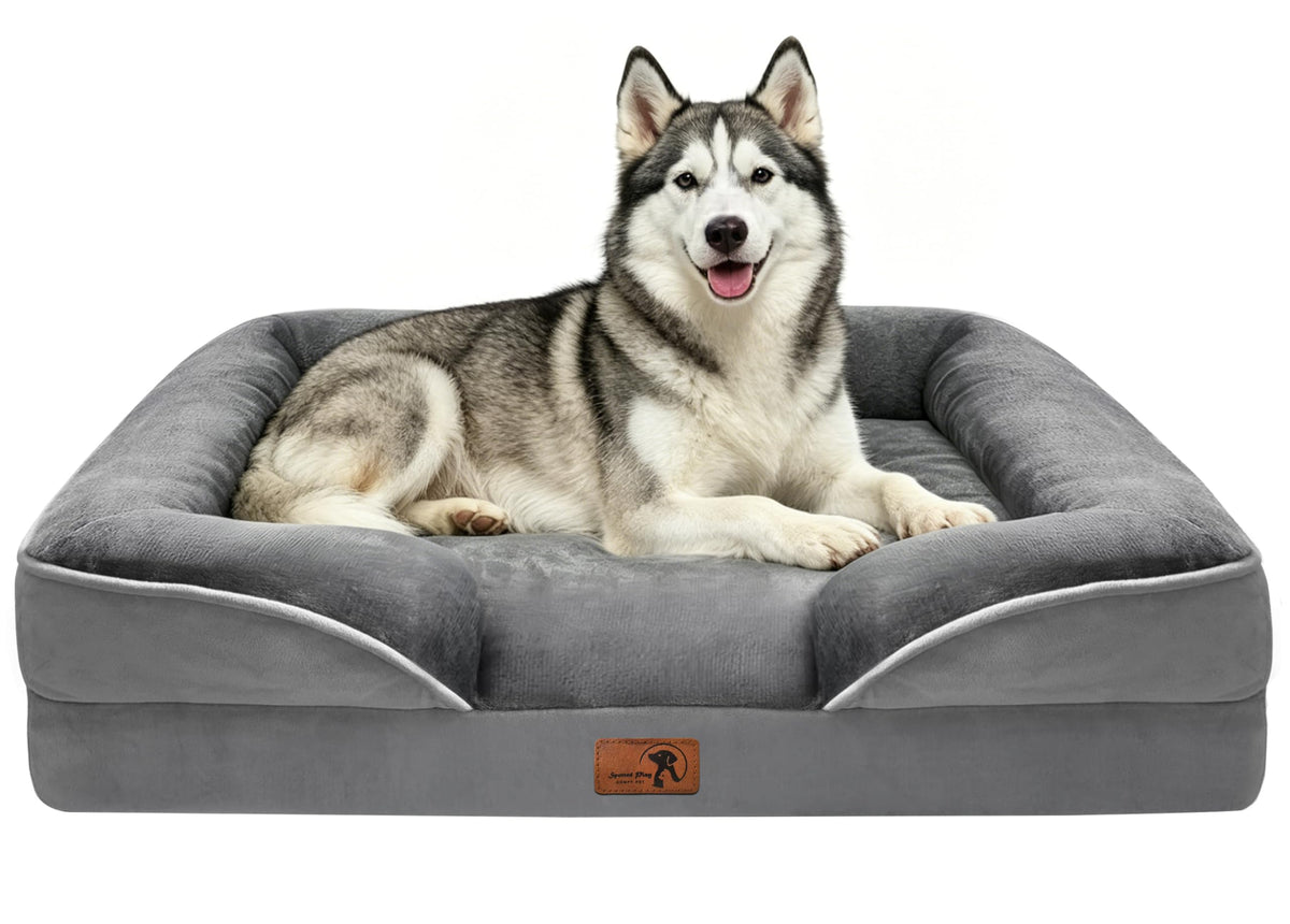 Spotted Play Orthopedic Dog Bed with Sides - Dog Sofa Beds for Medium Dogs, Supportive Foam Pet Couch Bed with Washable Removable Cover, Waterproof Lining and Non-Slip Bottom, Grey - M