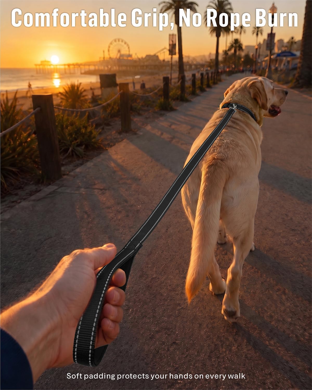 FunTags Reflective Nylon Dog Leash for Medium & Large Dogs, 6FT for Walks