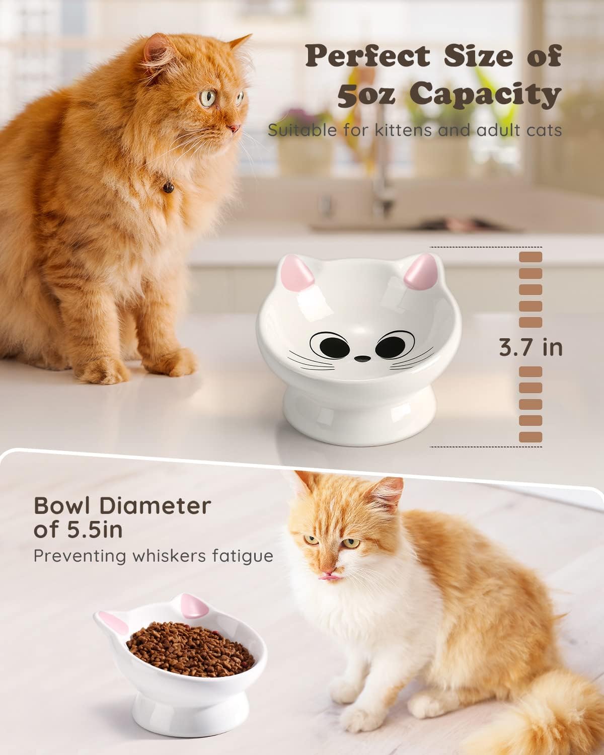 Raised Cat Food Bowl Ceramic 15° Tilted Cat Food Bowls Protect Cat's Spine Anti Vomiting Backflow Prevention Bowls for Adult Kitty, Kitten, and Small Dogs, Pink