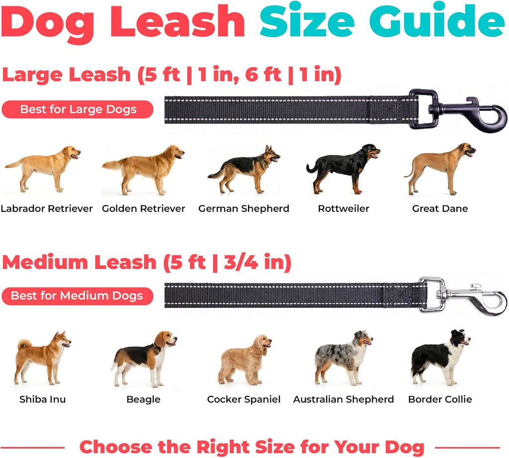 Best Pet Supplies Voyager Nylon Dog Leash - Black, Small