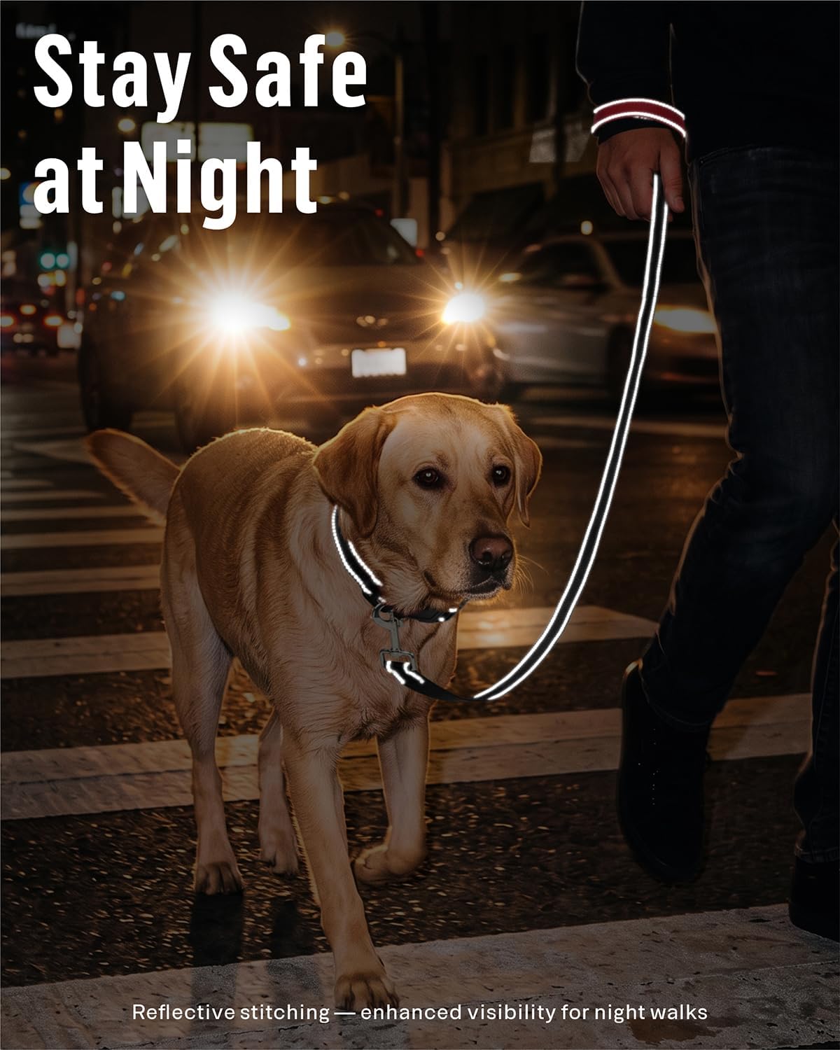 FunTags Reflective Nylon Dog Leash for Medium & Large Dogs, 6FT for Walks