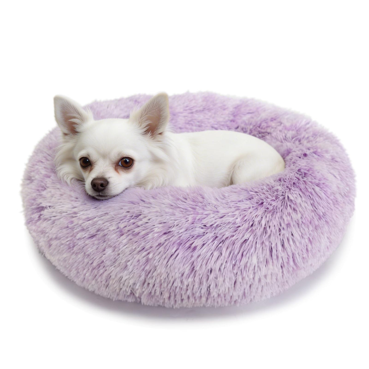 Small Calming Dogs Bed for Small Dogs Anti-Anxiety Machine Washable Fluffy Luxury Anti-Slip Waterproof Mute Base Warming Cozy Soft Pet Puppy Round Bed