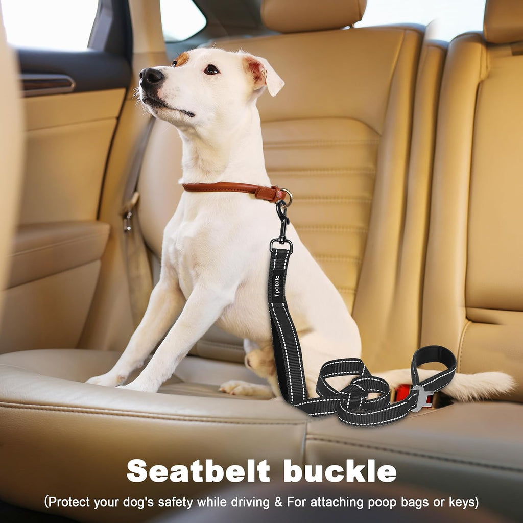 6 Foot Black Dog Leashes for Large Medium and Small Breed Dogs That Pull,Reflective Nylon Heavy Duty Dog Leash with 2 Comfortable Padded Traffic Handles and Car Seat Belt for Walking and Training