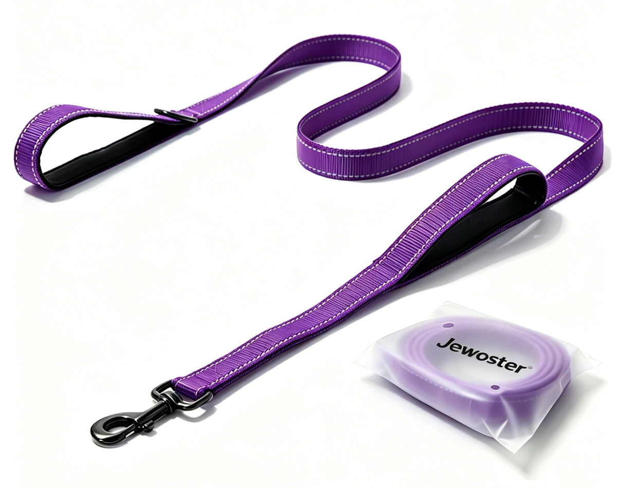 Heavy Duty Dog Leash - 2 Handles by Padded Traffic Handle for Extra Control, 6foot Long - Perfect for Medium to Large Dogs (6 ft, Black)