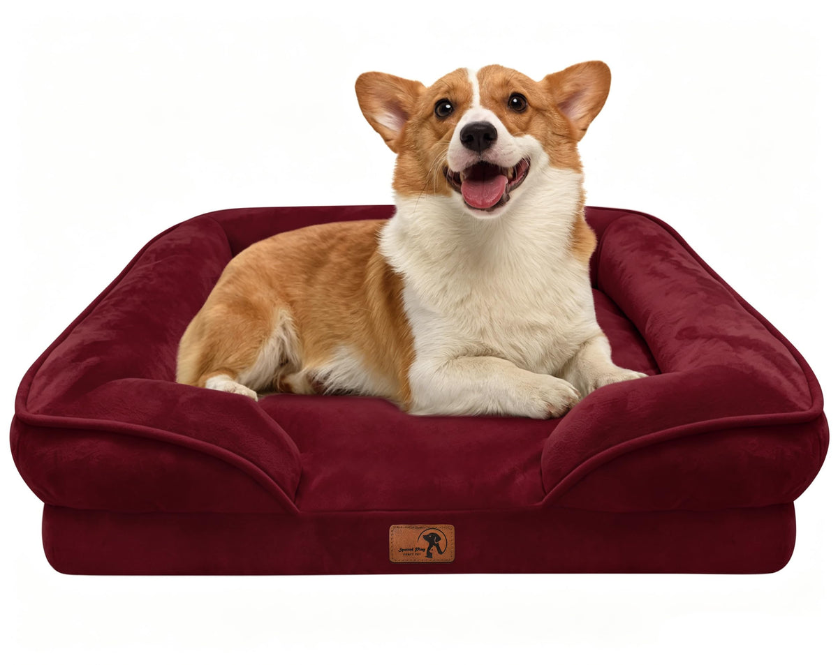 Spotted Play Orthopedic Dog Bed with Sides - Dog Sofa Beds for Medium Dogs, Supportive Foam Pet Couch Bed with Washable Removable Cover, Waterproof Lining and Non-Slip Bottom, Grey - M