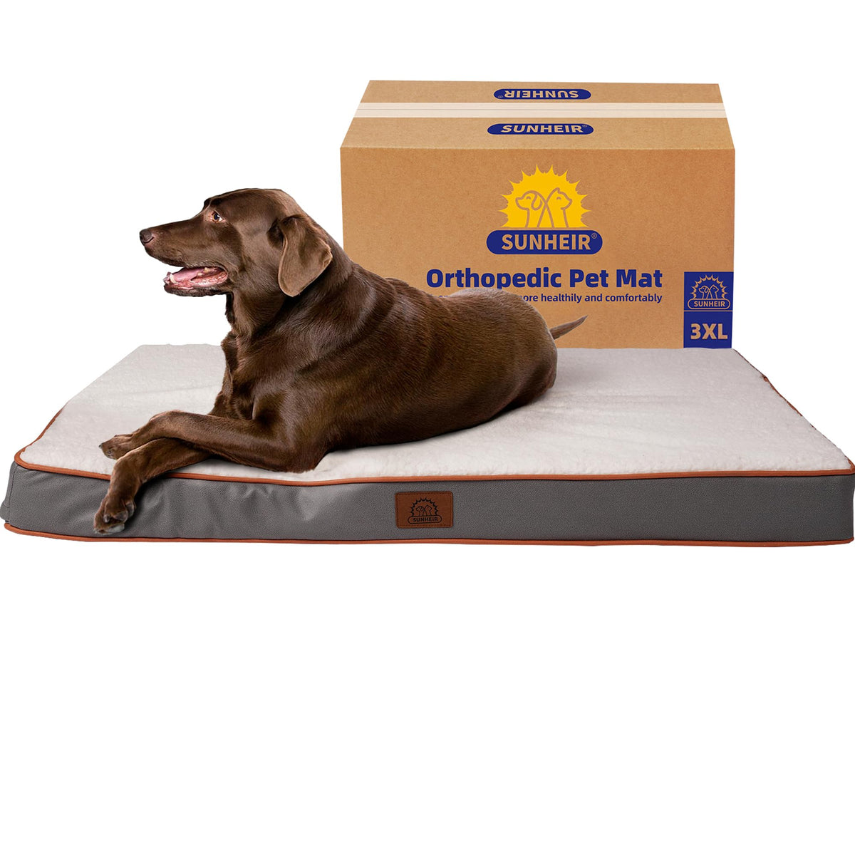 Sunheir Washable Orthopedic Large Dog Bed with Removable Cover, Pet Bed Mat