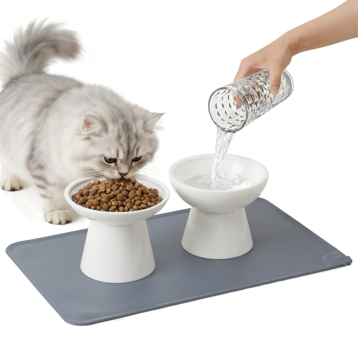 CEEFU 2-Pack Elevated Ceramic Cat Bowls Extra Wide for Food & Water