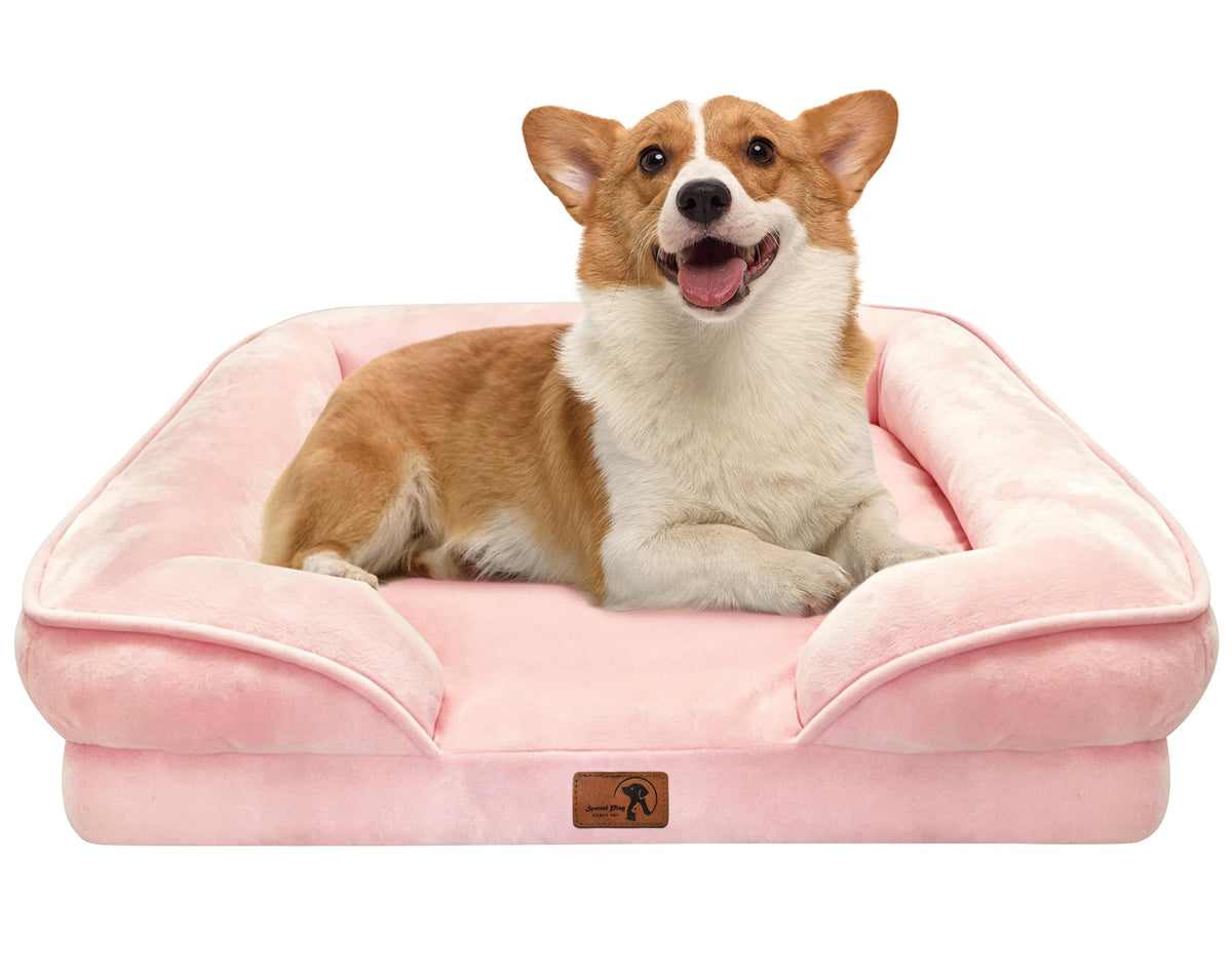 Spotted Play Orthopedic Dog Bed with Sides - Dog Sofa Beds for Medium Dogs, Supportive Foam Pet Couch Bed with Washable Removable Cover, Waterproof Lining and Non-Slip Bottom, Grey - M