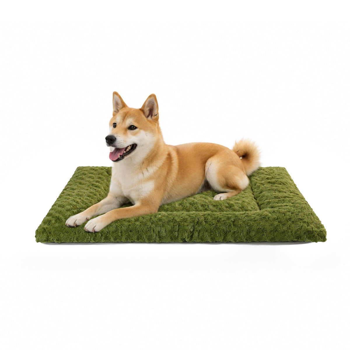 Exsnugy Washable Dog Bed Mat Medium Size Fluffy Pet Crate Pad 36x23