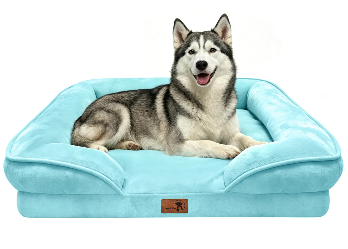 Spotted Play Orthopedic Dog Bed with Sides - Dog Sofa Beds for Medium Dogs, Supportive Foam Pet Couch Bed with Washable Removable Cover, Waterproof Lining and Non-Slip Bottom, Grey - M