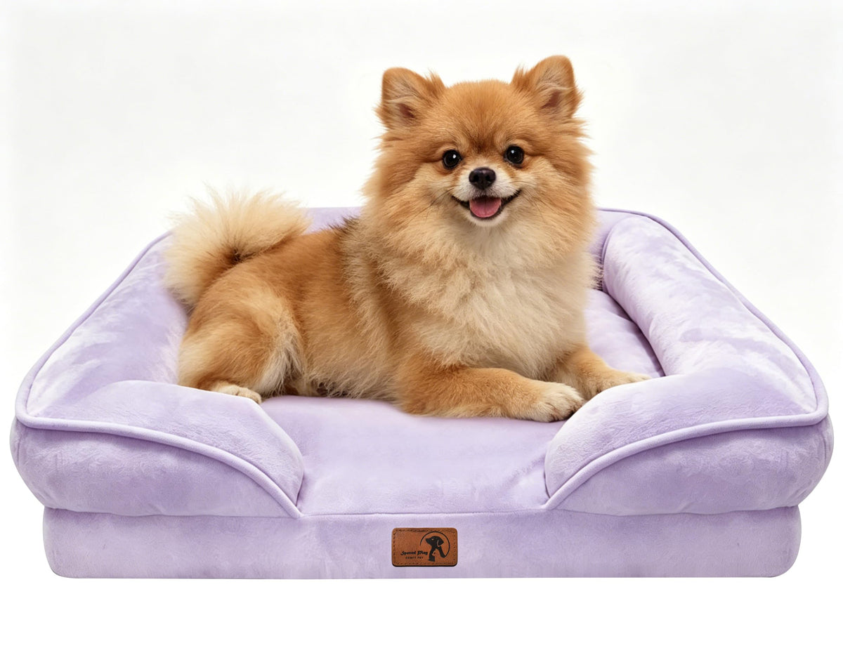 Spotted Play Orthopedic Dog Bed with Sides - Dog Sofa Beds for Medium Dogs, Supportive Foam Pet Couch Bed with Washable Removable Cover, Waterproof Lining and Non-Slip Bottom, Grey - M