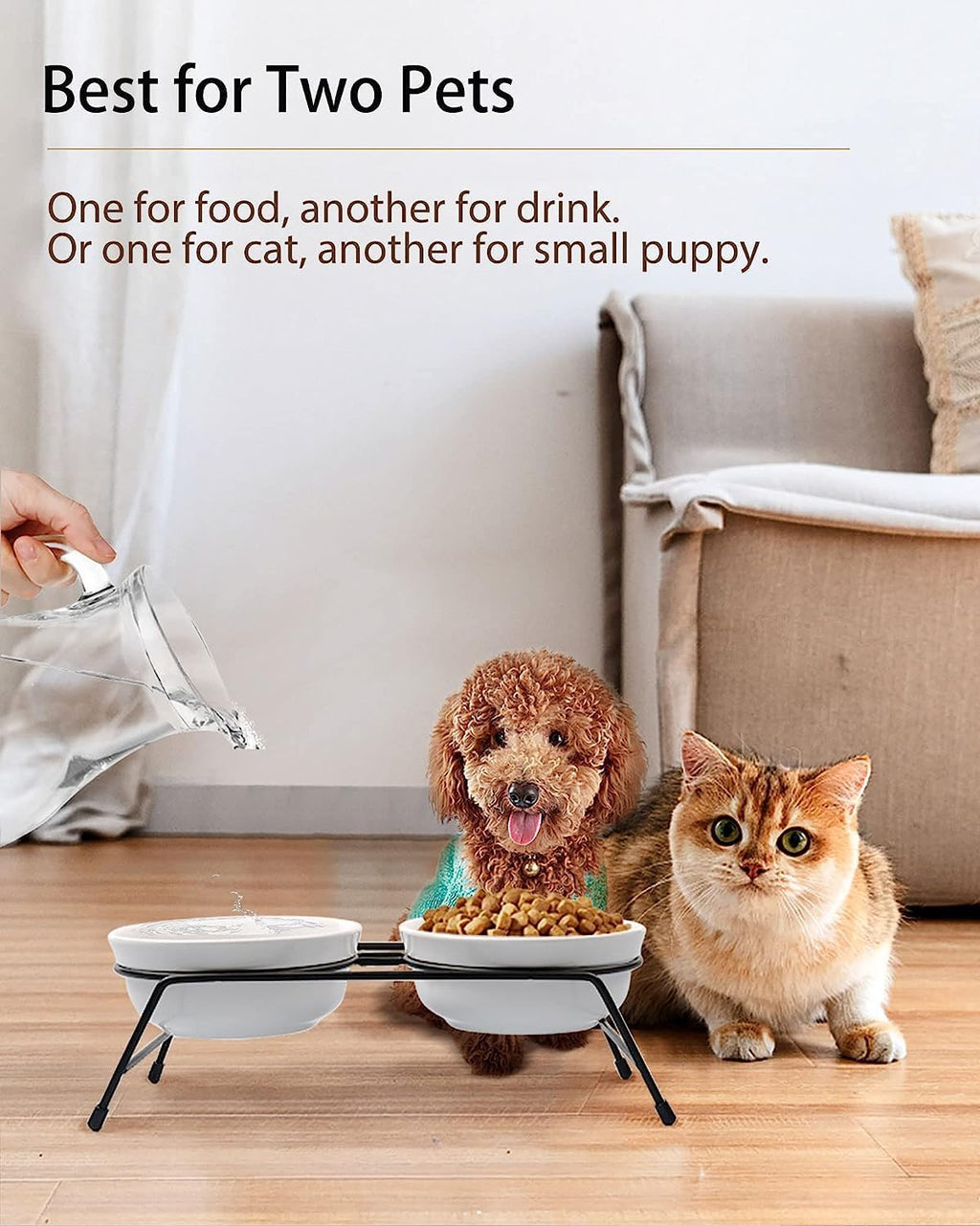 COMESOON 5" Ceramic Cat Bowl with Paws Pattern, Cat Food Bowl for Food and Water, Healthy Cat Dishes for Indoor Cats and Small Dogs, Dishwasher Safe & Microwaveable - White