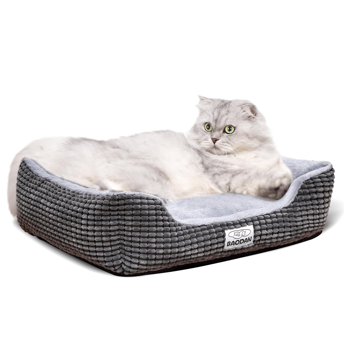 Small Dog Bed for Small Dogs, Cat Beds for Indoor Cats Washable, Rectangle Dog Bed, Warming Soft Calming Sleeping Puppy Bed Durable Pet Bed with Anti-Slip Bottom (20 inch, Coffee)