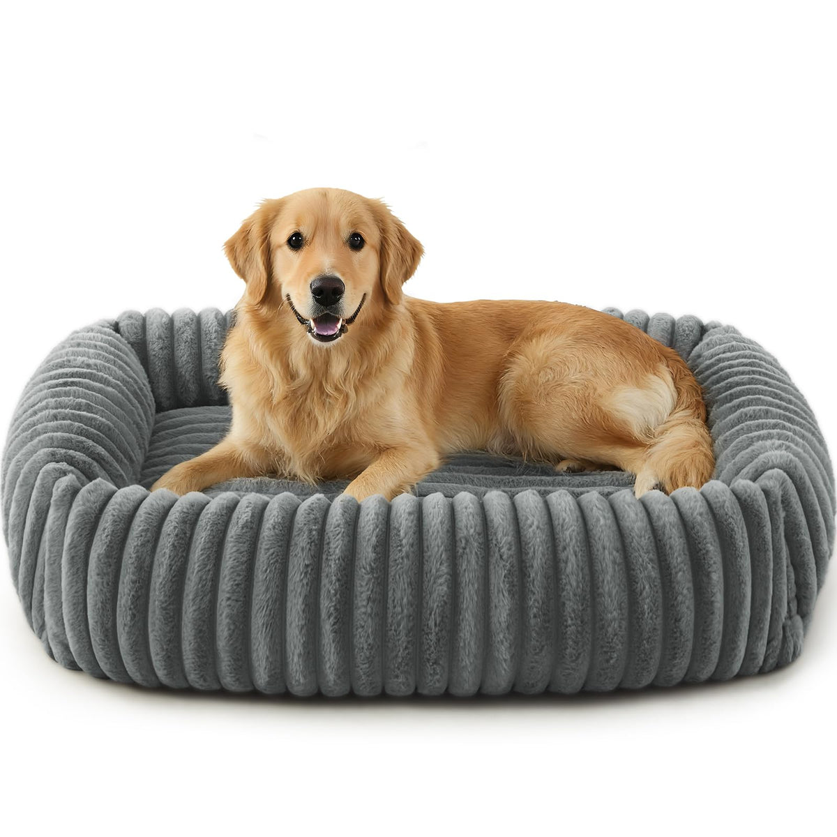 FURTIME Washable Dog Bed for Small Dogs, Cat Beds for Indoor Cats, 20"