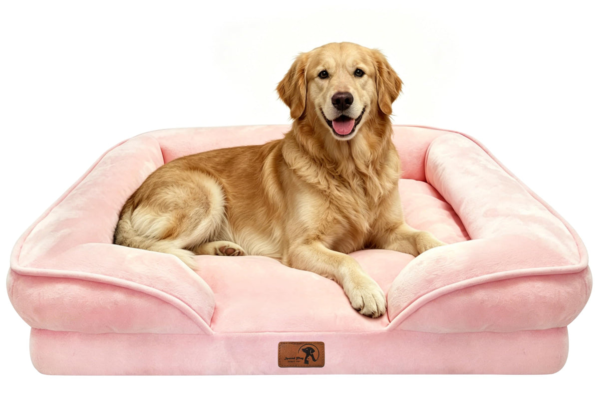 Spotted Play Orthopedic Dog Bed with Sides - Dog Sofa Beds for Medium Dogs, Supportive Foam Pet Couch Bed with Washable Removable Cover, Waterproof Lining and Non-Slip Bottom, Grey - M