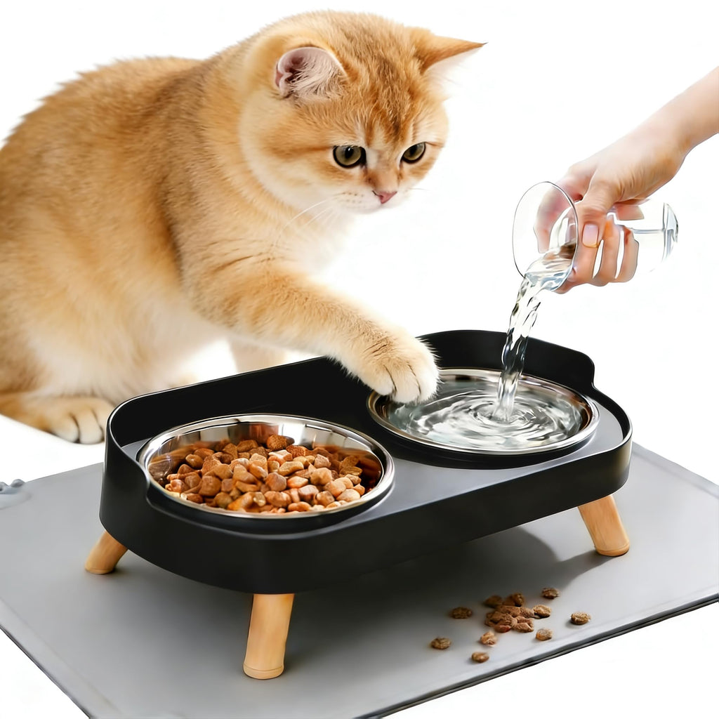 Elevated Cat Bowls with Food Mat, Splash Proof Anti Vomiting Raised Cat Food and Water Bowl Set, 2 Stainless Steel Dishes for Cats and Puppy, Pet Bowl for Indoor Cats White