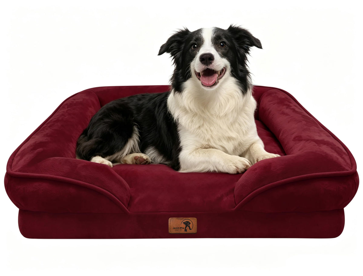 Spotted Play Orthopedic Dog Bed with Sides - Dog Sofa Beds for Medium Dogs, Supportive Foam Pet Couch Bed with Washable Removable Cover, Waterproof Lining and Non-Slip Bottom, Grey - M
