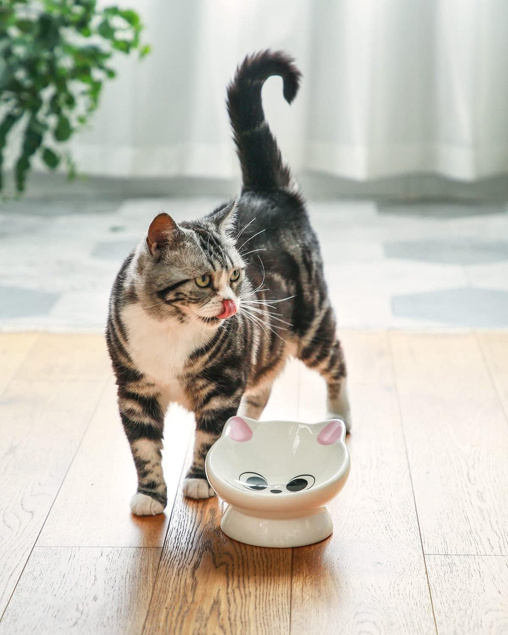 Raised Cat Food Bowl Ceramic 15° Tilted Cat Food Bowls Protect Cat's Spine Anti Vomiting Backflow Prevention Bowls for Adult Kitty, Kitten, and Small Dogs, Pink