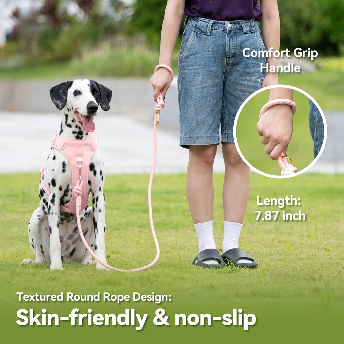 Sunraymascota 5FT Dog Leash Puppy Cat Rope Lead for Small Medium Large Dogs