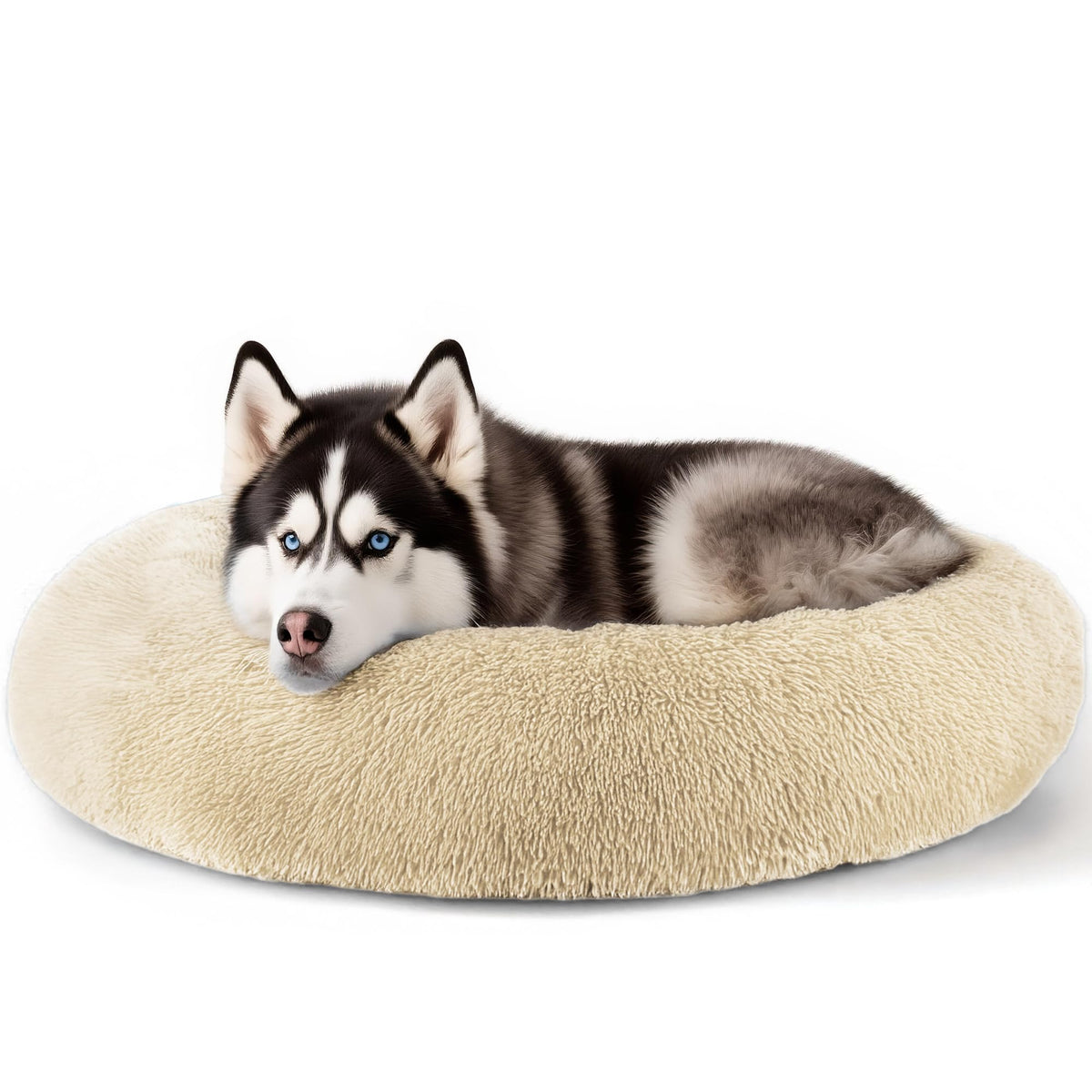 Hoewina Dog & Cat Bed for Indoor Cats, 20in Calming Donut Bed (Light Grey)