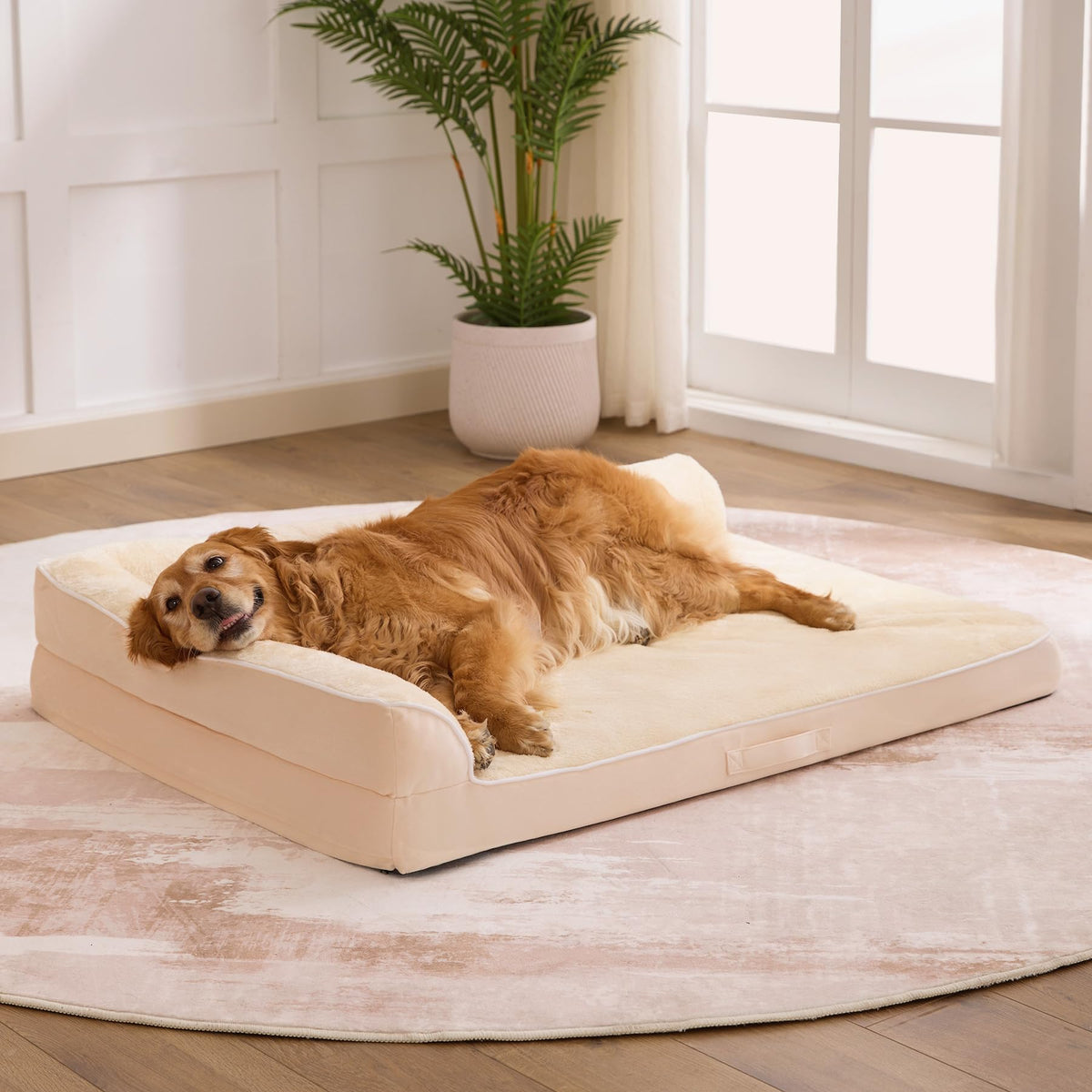 XL Orthopedic Dog Bed for Large Sized Dogs, 42"x30"x7.5", Grey