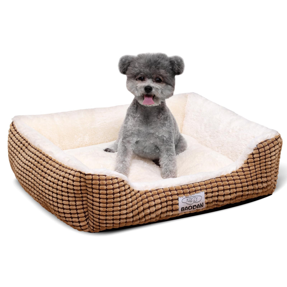 Small Dog Bed for Small Dogs, Cat Beds for Indoor Cats Washable, Rectangle Dog Bed, Warming Soft Calming Sleeping Puppy Bed Durable Pet Bed with Anti-Slip Bottom (20 inch, Coffee)