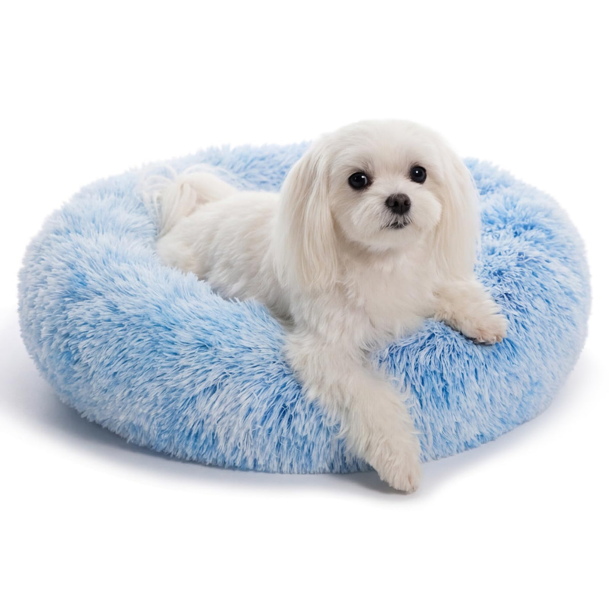 Small Calming Dogs Bed for Small Dogs Anti-Anxiety Machine Washable Fluffy Luxury Anti-Slip Waterproof Mute Base Warming Cozy Soft Pet Puppy Round Bed