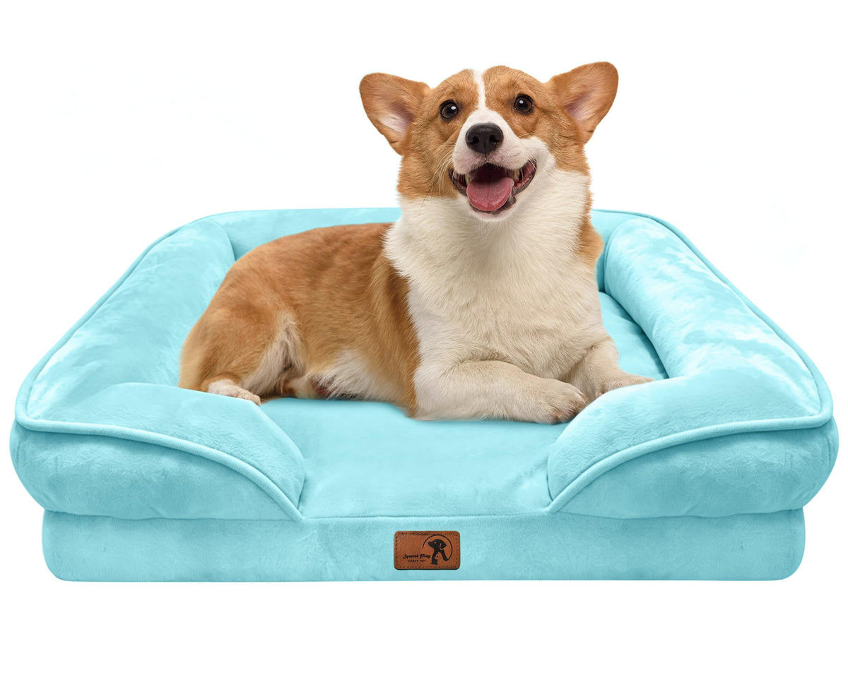 Spotted Play Orthopedic Dog Bed with Sides - Dog Sofa Beds for Medium Dogs, Supportive Foam Pet Couch Bed with Washable Removable Cover, Waterproof Lining and Non-Slip Bottom, Grey - M