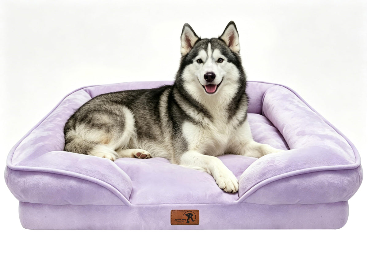 Spotted Play Orthopedic Dog Bed with Sides - Dog Sofa Beds for Medium Dogs, Supportive Foam Pet Couch Bed with Washable Removable Cover, Waterproof Lining and Non-Slip Bottom, Grey - M