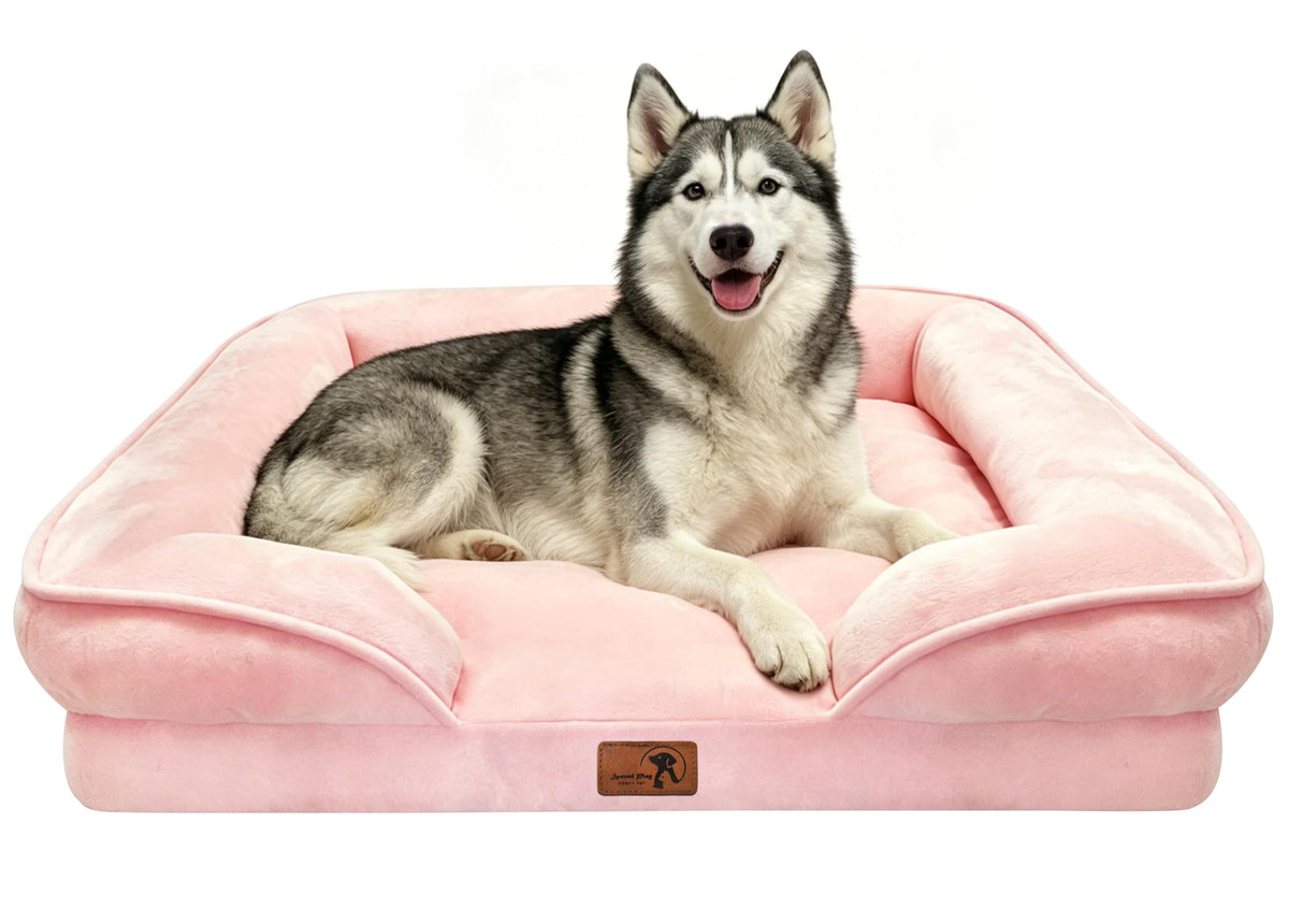 Spotted Play Orthopedic Dog Bed with Sides - Dog Sofa Beds for Medium Dogs, Supportive Foam Pet Couch Bed with Washable Removable Cover, Waterproof Lining and Non-Slip Bottom, Grey - M