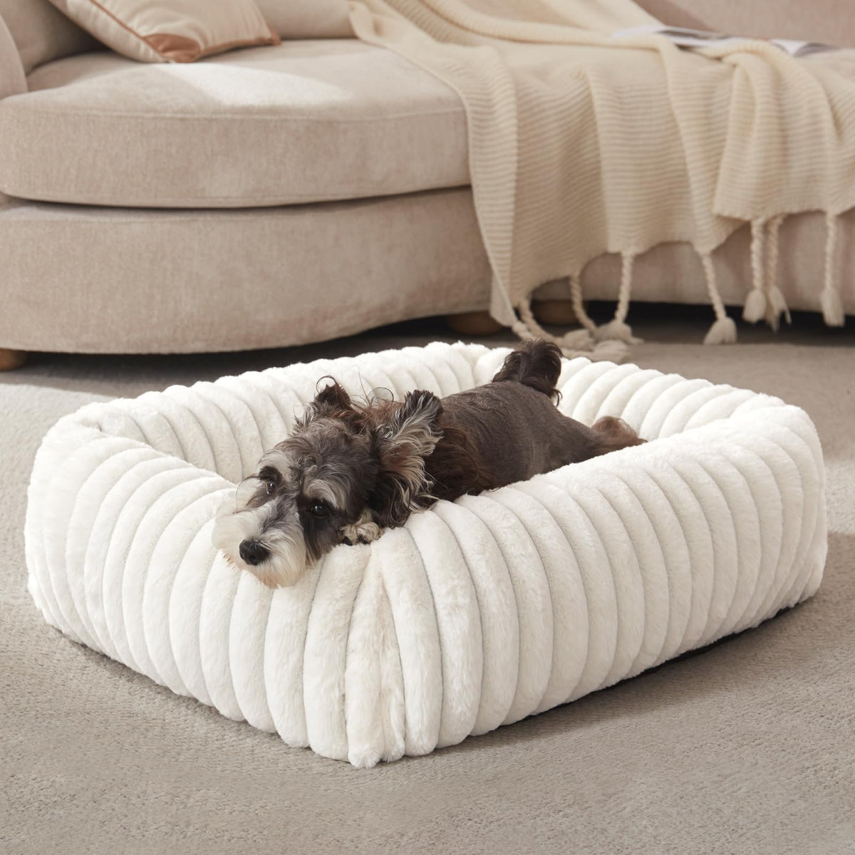 FURTIME Washable Dog Bed for Small Dogs, Cat Beds for Indoor Cats, 20"