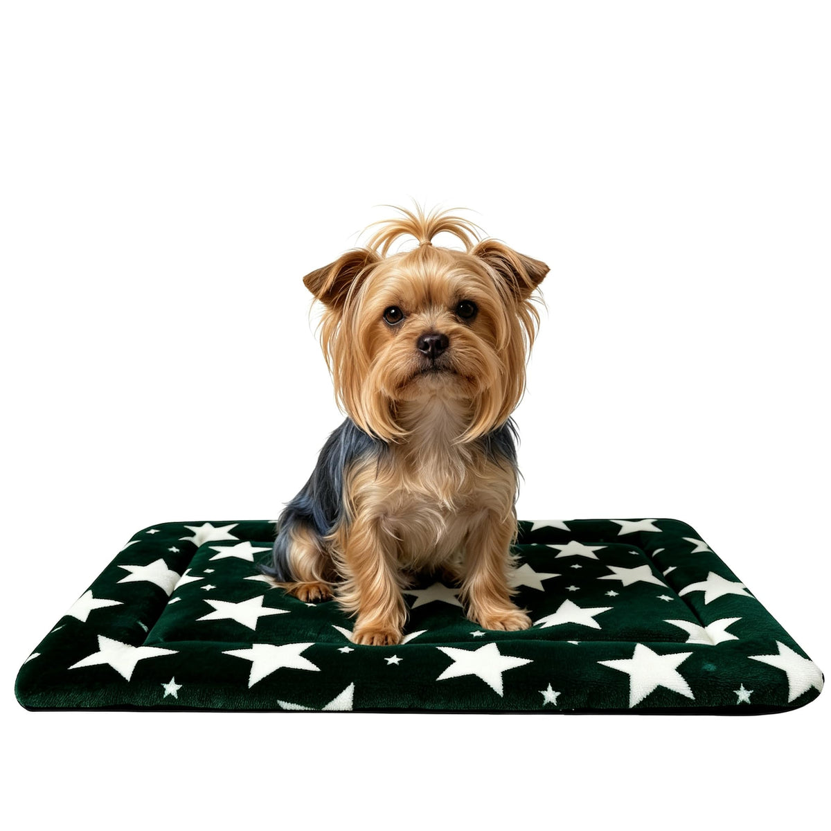 Dog Bed Mat,Reversible & Ultra Soft Kennel Pad-Machine Washable Pet Bed for Dogs & Cats-All-Weather Crate Liner for Crates,Carriers & Travel (Pink, 35" L x 23" W x 1.5" Th)