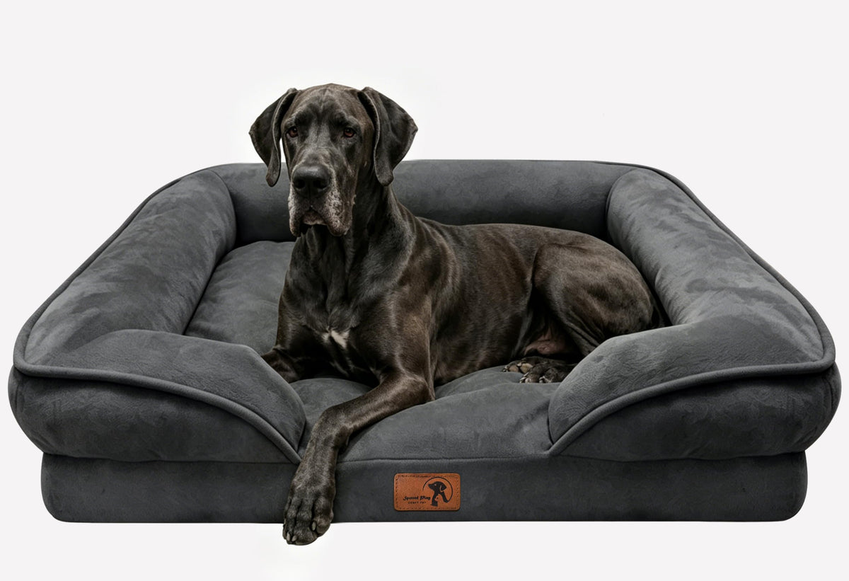 Spotted Play Orthopedic Dog Bed with Sides - Dog Sofa Beds for Medium Dogs, Supportive Foam Pet Couch Bed with Washable Removable Cover, Waterproof Lining and Non-Slip Bottom, Grey - M