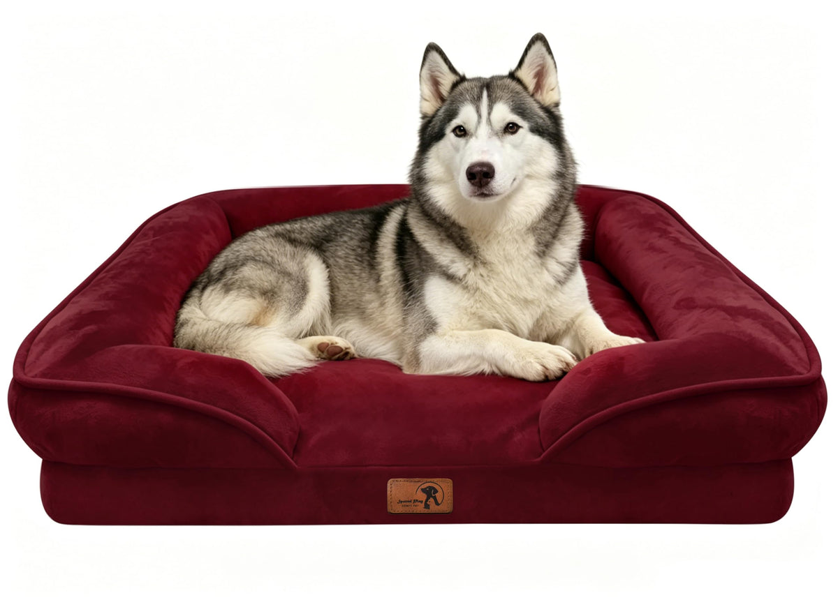 Spotted Play Orthopedic Dog Bed with Sides - Dog Sofa Beds for Medium Dogs, Supportive Foam Pet Couch Bed with Washable Removable Cover, Waterproof Lining and Non-Slip Bottom, Grey - M