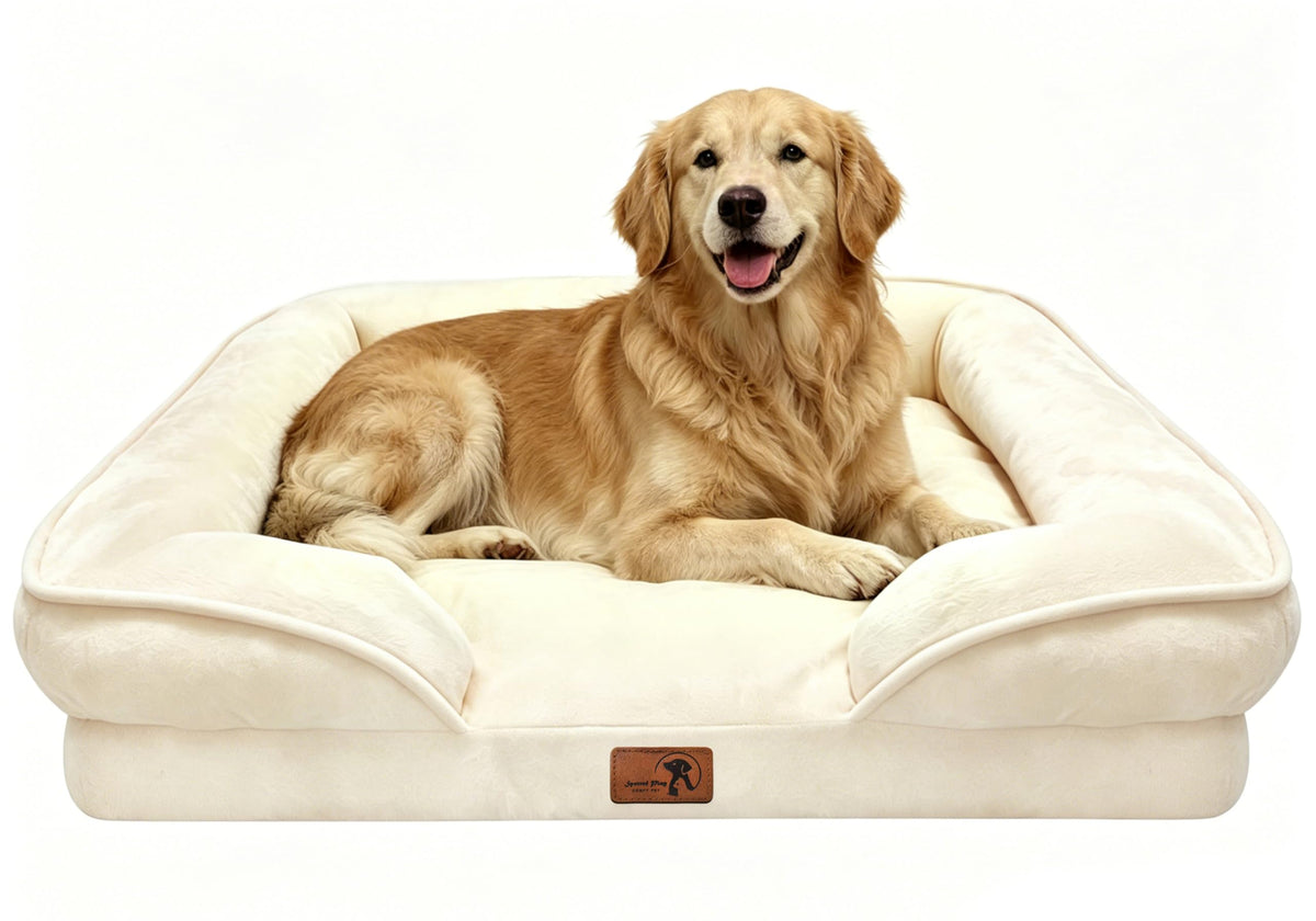 Spotted Play Orthopedic Dog Bed with Sides - Dog Sofa Beds for Medium Dogs, Supportive Foam Pet Couch Bed with Washable Removable Cover, Waterproof Lining and Non-Slip Bottom, Grey - M