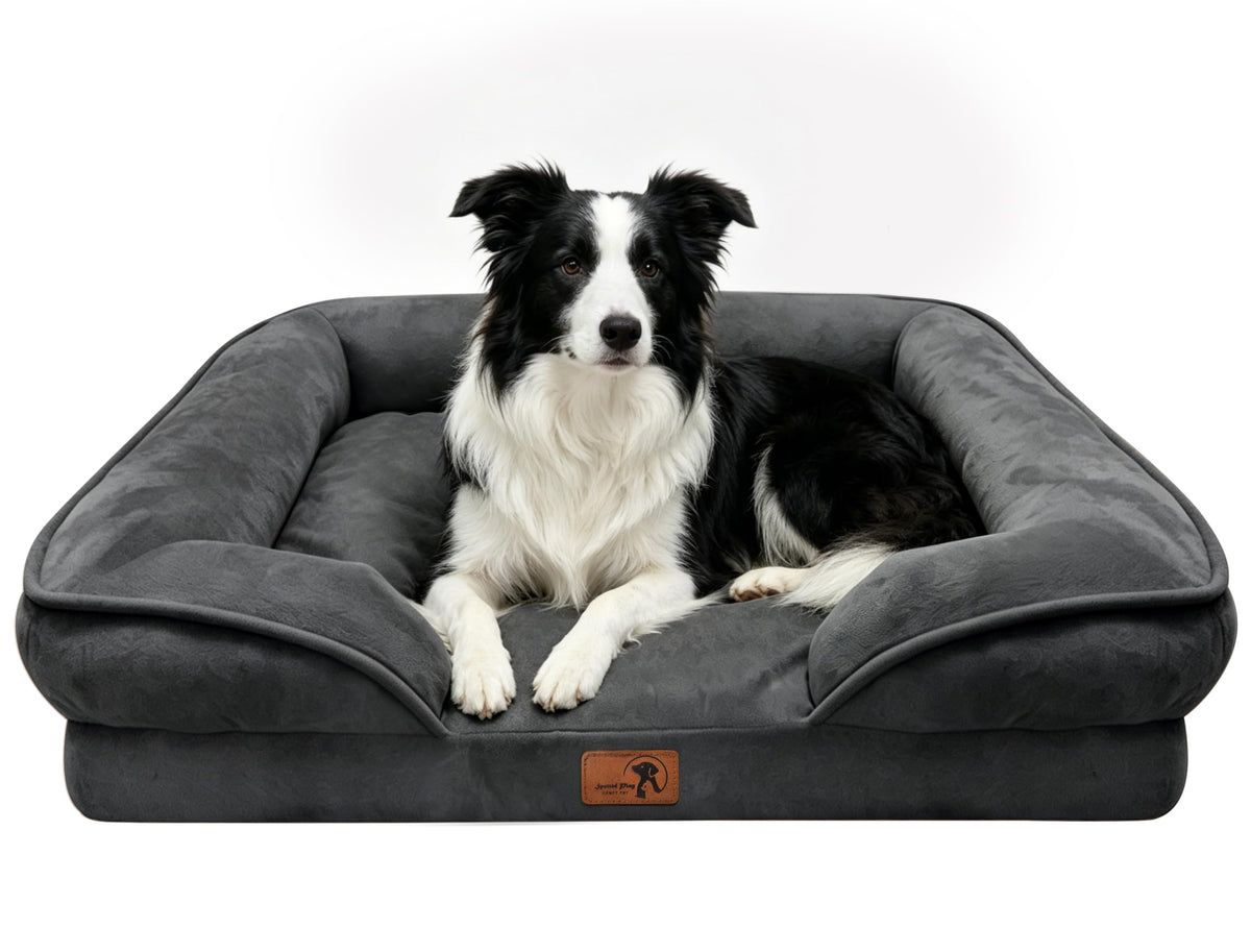Spotted Play Orthopedic Dog Bed with Sides - Dog Sofa Beds for Medium Dogs, Supportive Foam Pet Couch Bed with Washable Removable Cover, Waterproof Lining and Non-Slip Bottom, Grey - M