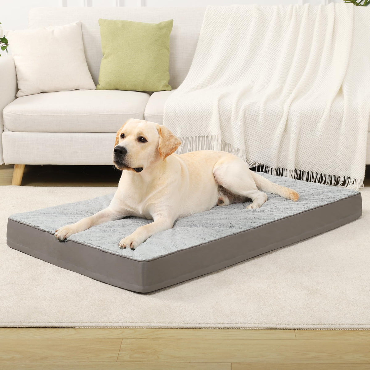 KSIIA Orthopedic Dog Bed for Large Dogs with Waterproof Lining, Grey, 35x22