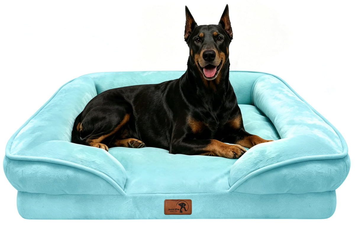 Spotted Play Orthopedic Dog Bed with Sides - Dog Sofa Beds for Medium Dogs, Supportive Foam Pet Couch Bed with Washable Removable Cover, Waterproof Lining and Non-Slip Bottom, Grey - M