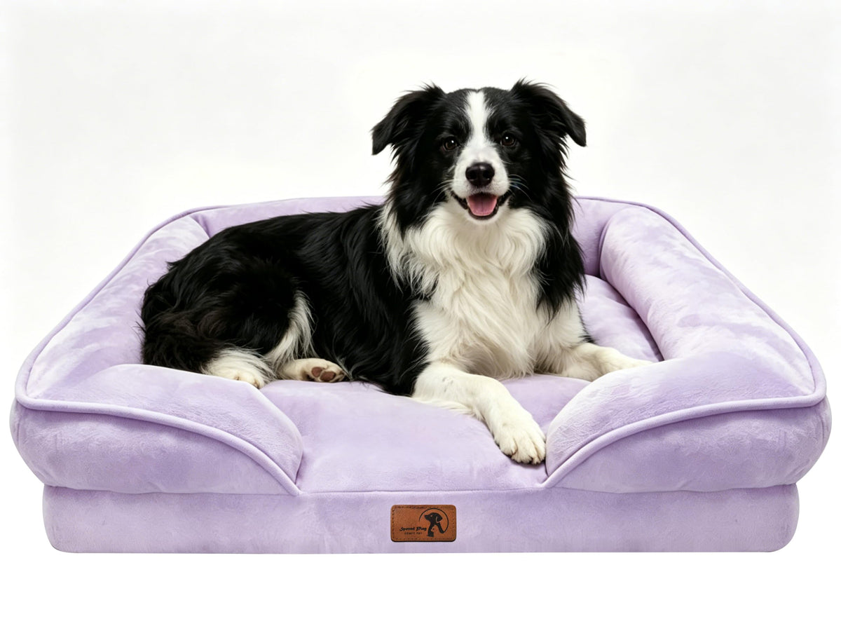 Spotted Play Orthopedic Dog Bed with Sides - Dog Sofa Beds for Medium Dogs, Supportive Foam Pet Couch Bed with Washable Removable Cover, Waterproof Lining and Non-Slip Bottom, Grey - M