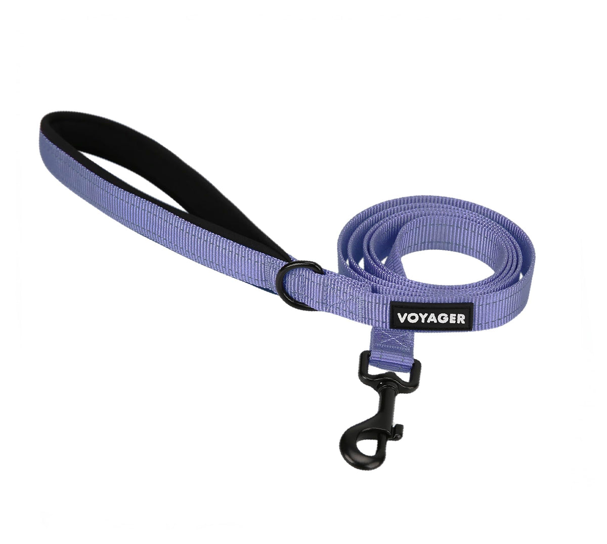 Best Pet Supplies Voyager Nylon Dog Leash - Baby Blue, Small