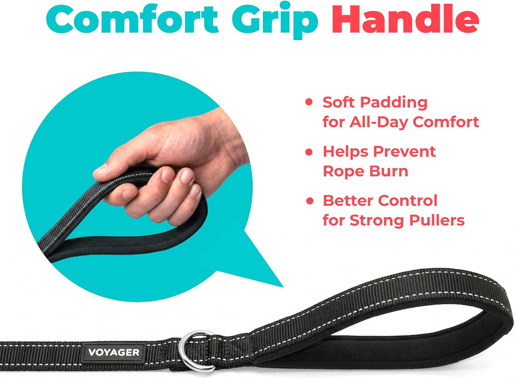 Best Pet Supplies Voyager Nylon Dog Leash - Black, Small