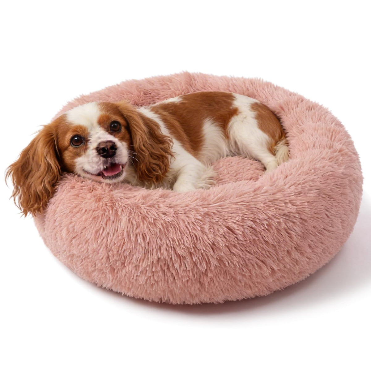 Small Calming Dogs Bed for Small Dogs Anti-Anxiety Machine Washable Fluffy Luxury Anti-Slip Waterproof Mute Base Warming Cozy Soft Pet Puppy Round Bed