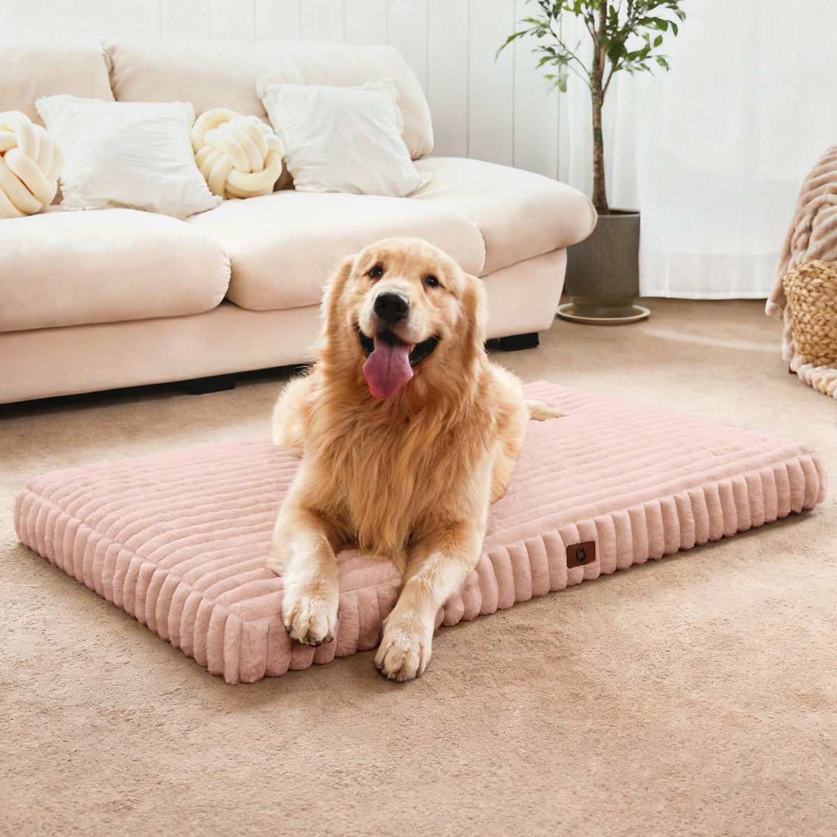 Dog Beds for Large Sized Dog, Orthopedic Foam with Waterproof Lining