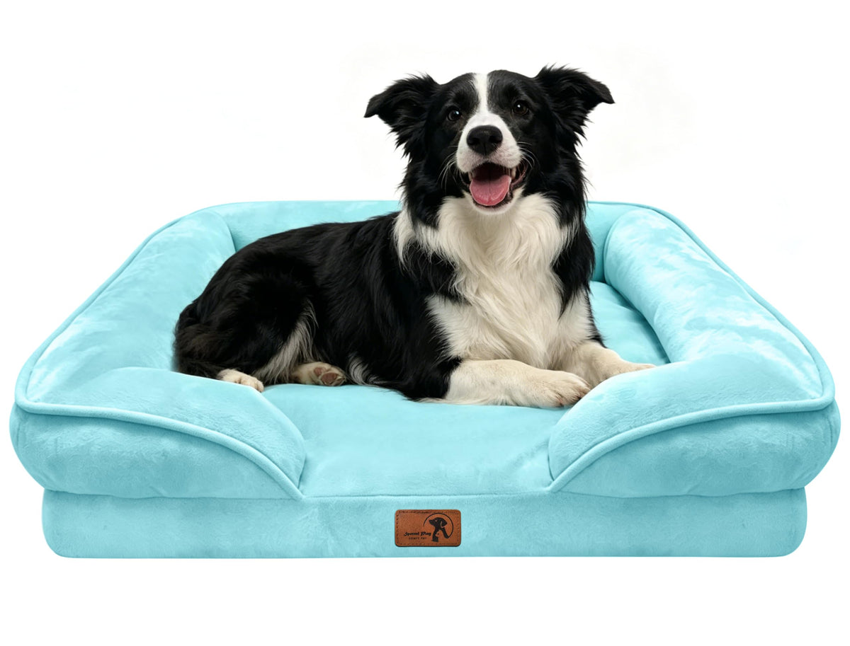 Spotted Play Orthopedic Dog Bed with Sides - Dog Sofa Beds for Medium Dogs, Supportive Foam Pet Couch Bed with Washable Removable Cover, Waterproof Lining and Non-Slip Bottom, Grey - M