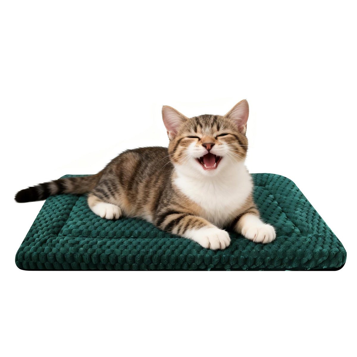 Dog Bed Mat – Soft & Comfortable Dog Kennel Pad for Crate – Durable Crate Bed & Mat for Dogs & Cats – Ideal for Crate, Kennel, and Home Use